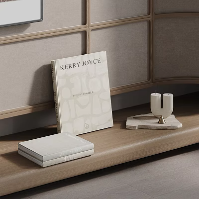 Kerry Joyce Interiors Book On Wooden Surface With Decorative Candle Holder And Light Cabinet 3d model