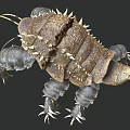 Unique Spiny Armored Creature With Thorny Exoskeleton And Multiple Legs