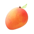 Modern fruit mango 3d model