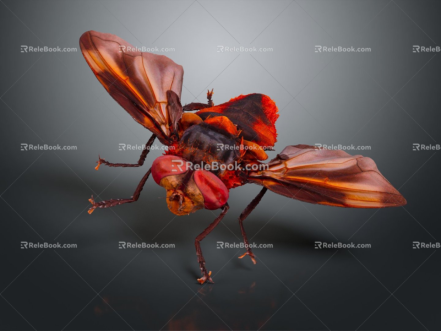 Modern fly insect cartoon fly animation fly anime fly anime character 3d model