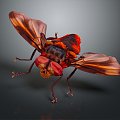 Modern fly insect cartoon fly animation fly anime fly anime character 3d model