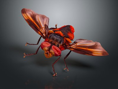 Modern fly insect cartoon fly animation fly anime fly anime character 3d model