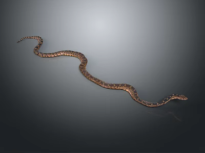 Brown Patterned Snake Curled on Gray Background with Smooth Body 3d model