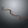 Brown Patterned Snake Curled on Gray Background with Smooth Body