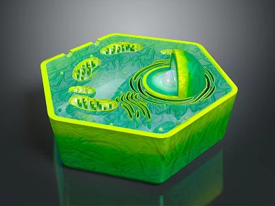 Advanced Green Hexagonal Biomedical Device With Detailed Internal Microstructure Design 3d model