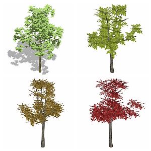 Modern Tree Flowers Greenery Plants Outdoor Forest 3d model