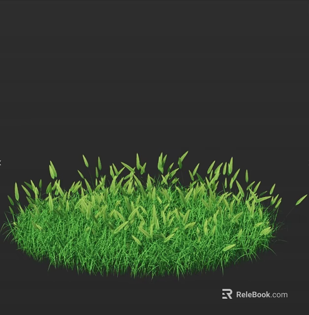 Lush Green Grass with Fresh Blades on Dark Background Natural Scene 3d model 