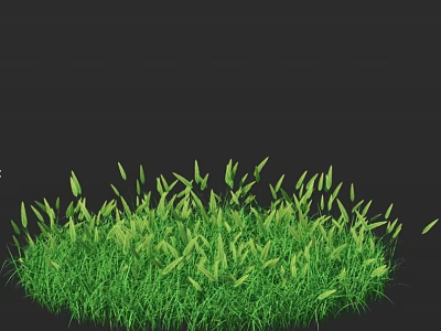 Lush Green Grass with Fresh Blades on Dark Background Natural Scene 3d model