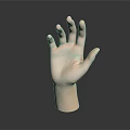 Lifelike Human Hand Model with Palm Up and Fingers Spread on Dark Background