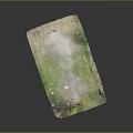 Green and Purple Terrain Surface with Irregular Texture and Scattered Spots
