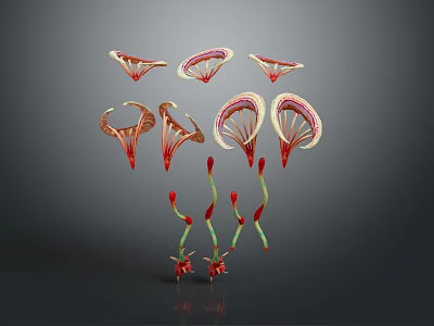 Unique Plant Structures Featuring Red Petals And Green Stems In Different Forms 3d model
