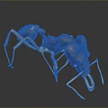 Detailed 3D Render of Brown Yellow Ant With Long Legs and Antennae on Black Background