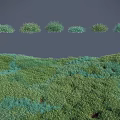 Lush Green Plants Natural Landscape Featuring Various Sizes And Dense Vegetation