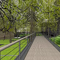Modern Garden Landscape Featuring Trees Glass Wall And Paved Ground Design