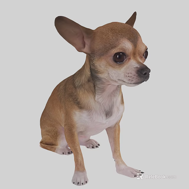 Small Brown Reptile With Big Eyes Sitting On Gray Background 3d model