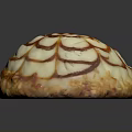 Round Dessert With Creamy White Frosting And Caramel Floral Pattern On Almond Crumb Base