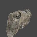 Game Movie Character Themed Rock Featuring Spiral Structure And Rough Texture 3d model