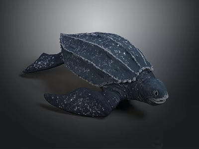 Detailed Dark Colored Turtle With Textured Shell And White Spotted Flippers 3d model