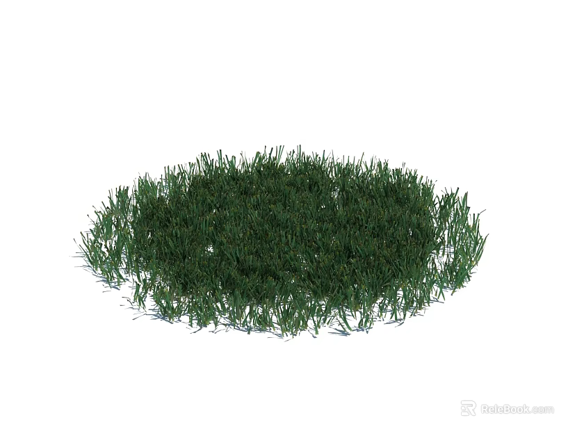 Lush Green Round Grass Patch With Fresh Natural Foliage Texture 3d model 