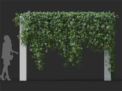 Lush Green Vines Covering White Pillar Archway With Hanging Leaves and Small White Flowers 3d model