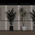 Modern Geometric Patterned Room Divider With Translucent Panels And Indoor Plants In Interior Space 3d model