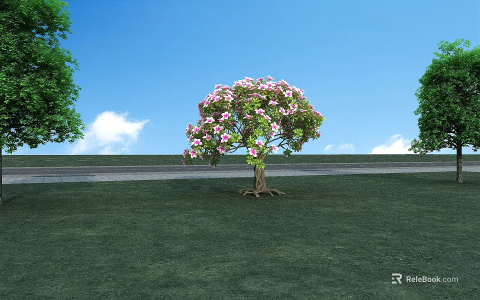 Beautiful Pink Flowering Tree In Green Grass Field With Blue Sky And White Clouds 3d model 