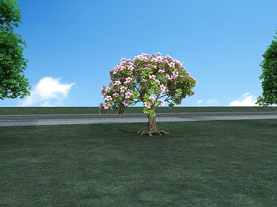 Beautiful Pink Flowering Tree In Green Grass Field With Blue Sky And White Clouds 3d model