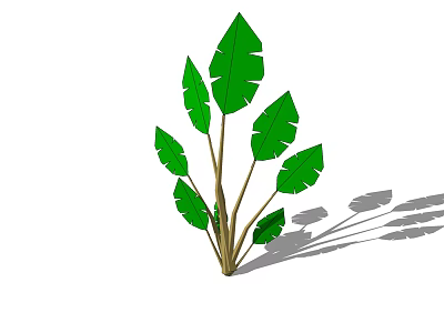 Tall Arbor With Large Green Leaves And Brown Trunks Casting Shadows 3d model