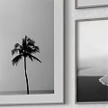 Stylish Photo Frames Displaying Black White Artworks And Palm Tree For Wall Decor