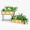 Plant Potted Plant Combination Plant Flower Pot Flower Tank Potted Green Plant Bonsai Wooden Box Box 3d model