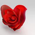 Red Heart Shaped Rose Flower in Stylish Vase for Living Room Decoration