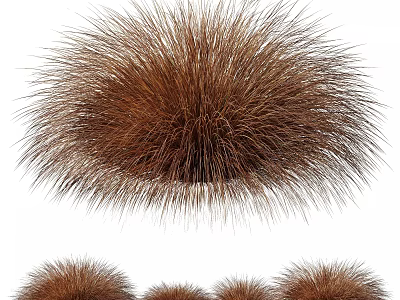Brown Puffy Grass Clumps in Various Sizes for Garden Landscaping 3d model