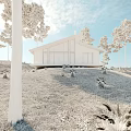 Modern Single Family Villa In Grassland With Tall Trees