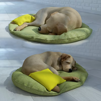 Reptile Resting On Green Cushion With Yellow Pillow And White Brick Background 3d model