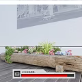 Bonsai Potted Plants In Rustic Log Planter With Colorful Flowers On Wooden Deck
