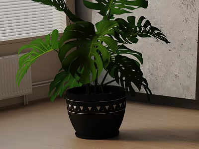 Lush Monstera Potted Plant in Black Pot with White Geometric Patterns by Window Blinds 3d model