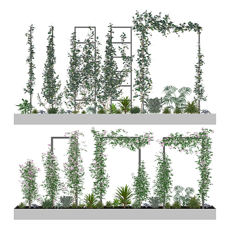 Modern Vine 3d model