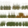 Ornamental Grass Plant Combinations With Green Orange White Foliage And Various Heights