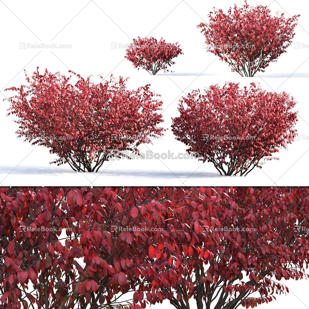 Shrub combination plant green plant bush grass outdoor landscape 3d model