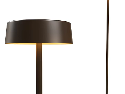 China Floor Lamp 3d model