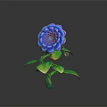 Vibrant Blue Flower Plant With Layered Purple Center and Green Shiny Leaves Against Dark Background