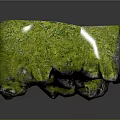 Natural Stone With Green Moss Covered Surface And Rough Natural Texture