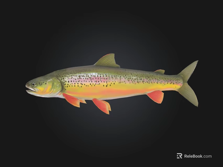 Vibrant Colored Trout Fish With Red Spots Yellow Green Body And Orange Fins 3d model 