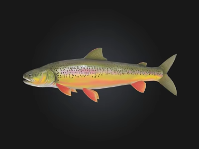 Vibrant Colored Trout Fish With Red Spots Yellow Green Body And Orange Fins 3d model