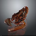 Professional Chef Displaying Cooked Red Lobster With Glistening Shell On Black Background 3d model