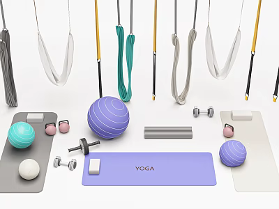 Home Gym Fitness Equipment with Suspension Straps Yoga Balls Dumbbells Yoga Mats And Foam Rollers 3d model