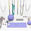 Home Gym Fitness Equipment with Suspension Straps Yoga Balls Dumbbells Yoga Mats And Foam Rollers