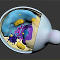Detailed Organ Internal Structure With Yellow Hair like Fibers And Blue Purple Components