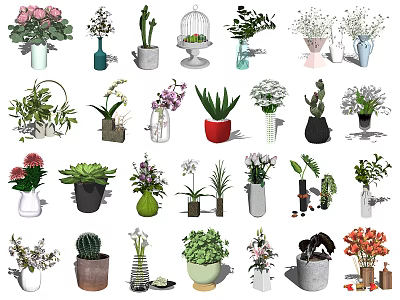 Beautiful Vases With Various Flowers And Green Plants For Home Interior Decor 3d model