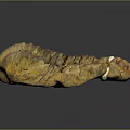 Rustic Wood And Stone Decorative Piece With Natural Brown Yellow Texture And Surface Details